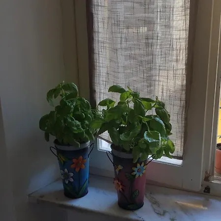 Casa Della Ludo A Apartmán Biella